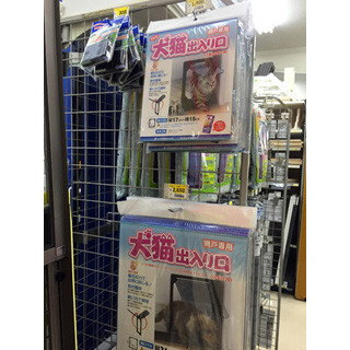 風を活用「網戸」で節電、猫も喜ぶ!? 今すぐはじめたいエコスタイル(part2)