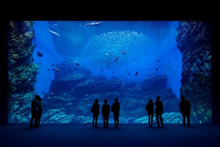 宮城県仙台市に東北最大級の水族館 仙台うみの杜水族館 がオープン マイナビニュース