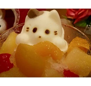 猫好き歓喜! 夏限定メニュー「にゃんこのかき氷」発売