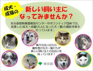 東京都・井の頭自然文化園で、犬や猫の譲渡事業を紹介するイベント開催