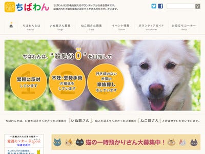 東京都江戸川区などで犬の譲渡会開催 入場無料 マイナビニュース