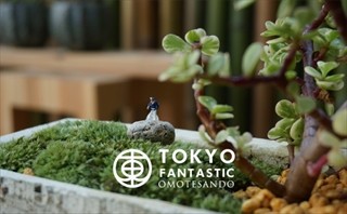 東京・南青山で「日本のカルチャー」を体験できるワークショップ開催