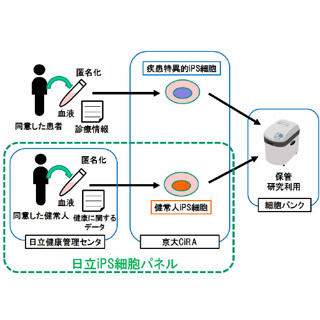 Ips細胞について Ir情報 株式会社リプロセル