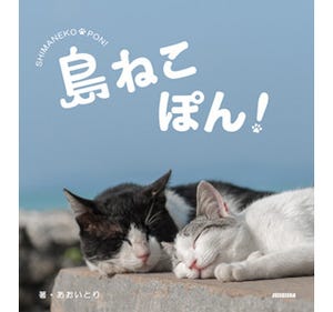 島で暮らす猫たちの姿を楽しめる写真集「島ねこぽん」が発売!