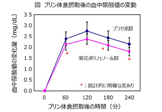 カネカ、菊花ポリフェノール摂取での血中尿酸値上昇抑制を確認