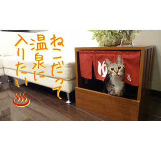 温泉から猫があがったように見える猫トイレのれん、製品化決定