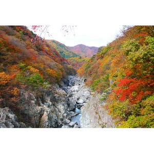 日光の紅葉を見るならこの日! 鬼怒川・東照宮などエリア別ピーク情報