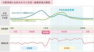 乳房のはり攻撃的になるこれってpms 症状の理解を深める