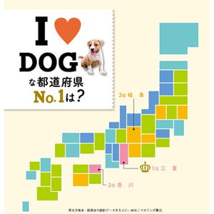 "日本一犬好きな都道府県"が判明! 理由はちょっと意外 - 東京都は下位に