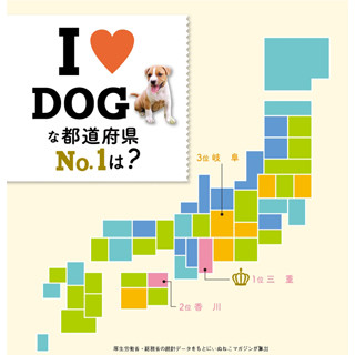 "日本一犬好きな都道府県"が判明! 理由はちょっと意外 - 東京都は下位に