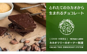 カカオの木オーナー制度が開始--1年後にBean to Barチョコレートが1kg届く!