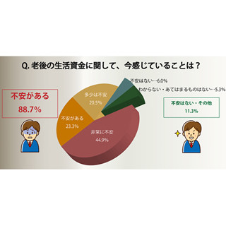 公的年金以外の老後資金、「給料(働くこと)」が最多