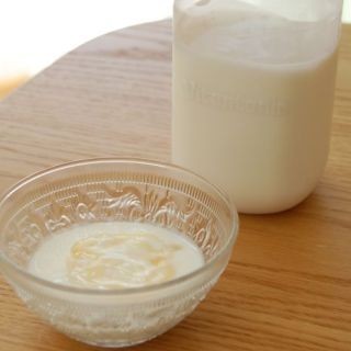 ヨーグルト量産計画! - 好みの牛乳でヨーグルトをつくる楽しさを