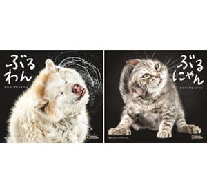ぶるぶるしている瞬間の猫と犬の顔をとらえた写真集が発売