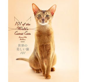 「世界の美しい猫101」が発売