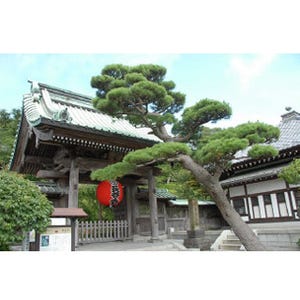 神奈川県鎌倉市の長谷寺、観光客向けに無料Wi-Fiサービス--ワイヤレスゲート