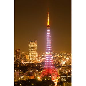 都民200人に聞いた"意外と行かない"東京都の名所 - あのタワーも上位に