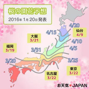 東京都は平年より早い3月22日開花か - 全国の桜開花予想発表