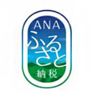 ANA、"ふるさと納税ポータルサイト"を4月に開設