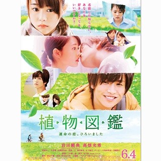 岩田剛典、高畑充希にキス寸止め2連発!? 料理姿も映す『植物図鑑』予告映像