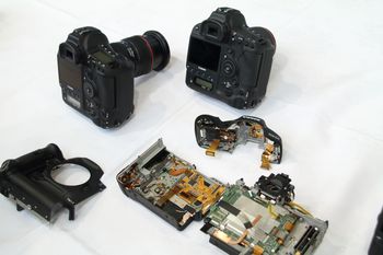 キヤノン「EOS-1D X Mark II」の原点と最新テクノロジーを聞く | マイ