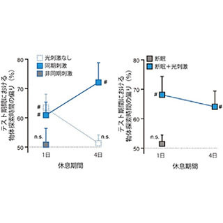 睡眠不足による記憶力の低下は脳への刺激で補える - 理研らがマウスで発見