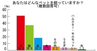 犬・猫を飼うのに月いくらかかる?