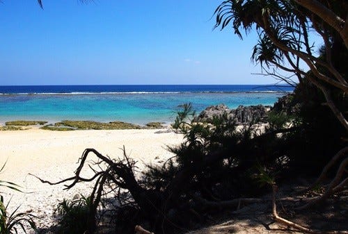 長寿と子宝の島は知られざる絶景の宝庫 徳之島 を丸ごと冒険してみた 1 マイナビニュース