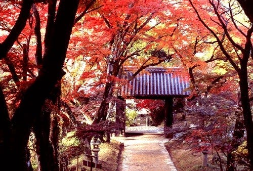 息をのむほど美しい 紅葉を愛でる絶景の城 全国ベスト10はこれだ 2 マイナビニュース