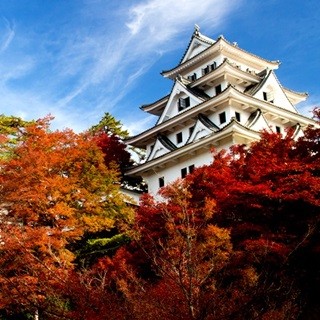 息をのむほど美しい! 紅葉を愛でる絶景の城、全国ベスト10はこれだ