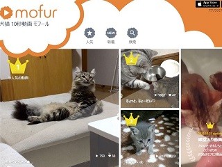 フェンリル、いぬねこ10秒動画サービス「mofur」Web版をリニューアル