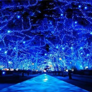 中目黒"青の洞窟"が渋谷で復活! 公園通り～代々木公園の約750mが青に染まる