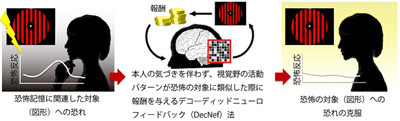 無意識のうちに恐怖記憶を消去できる技術 Atrなどが開発 Tech