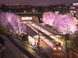 相鉄いずみ野線弥生台駅で「弥生台 春待ちライトアップ」12月中の毎日実施