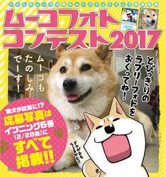 ムーコ フォトコンで愛犬の写真募集中 大賞犬はみずしな孝之がイラスト化 マイナビニュース