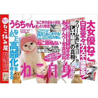 冬の「ねこ休み展」、新作を加えた全350点以上で開催--2/22"猫の日"企画も