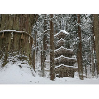 冬だけ出会える出羽三山がある! 精進料理で清め、雪吹雪く羽黒山へ