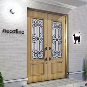 猫のための賃貸住宅"necofino"登場! 夢の設備・透明空中キャットウォークも