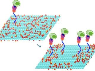 乾いた空気から水を取り出す装置 太陽光で動作 Mitとucバークレーが開発 Tech