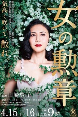 松嶋菜々子がシースルーのドレス姿に 女の勲章 ポスタービジュアル公開 マイナビニュース