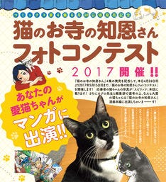 あなたの愛猫が 猫のお寺の知恩さん に出演 フォトコンテスト開催 マイナビニュース