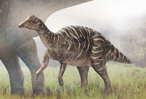 北大、日本初の恐竜「ニッポノサウルス」の成長段階と分類学上の謎を解明 | TECH+