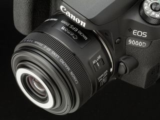 キヤノン「EF-S35mm F2.8 マクロ IS STM」実写レビュー - 内蔵LEDライトのギミックもいいが、描写も絞り開放から良好