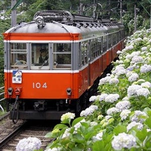 箱根旅行は「あじさい電車」と共に! 温泉＋グルメ＋鉄道＋絶景を全部一日で