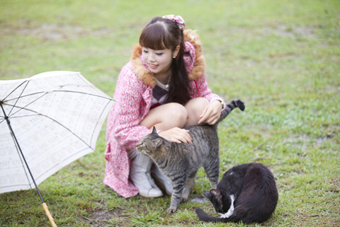 野良猫と仲良くなる方法は? 獣医師が解説 マイナビニュース