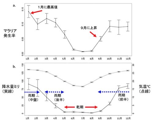 南アフリカの降水量 気温の変動がマラリア発生率に及ぼす可能性 Jamstec Tech