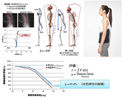 北大 腰の負担を予測して締め付けを変えるアクティブコルセット開発 マイナビニュース