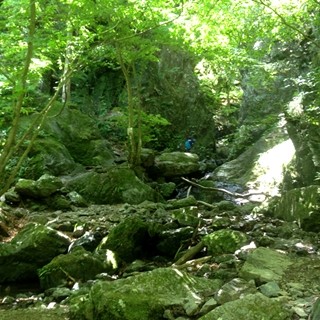 涼を求めて棒ノ嶺で日帰り登山! 沢登りで滝を越え、花の群生の先に絶景を