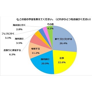 夏休み休暇、理想と現実は?