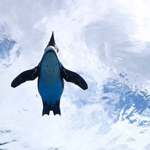 空飛ぶペンギンを見た! サンシャイン水族館に世界初の新展示エリアが登場